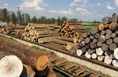 Sägewerk - HOLZ-BARAN GmbH Sägewerk - HOLZ-BARAN GmbH