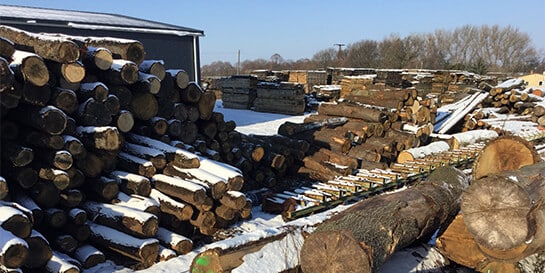 Heimische Hölzer aus zertifizierter Forstwirtschaft — HOLZ-BARAN GmbH