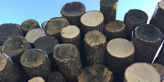 Bauholz aus dem HOLZ-BARAN Sägewerk in Luppa bei Leipzig